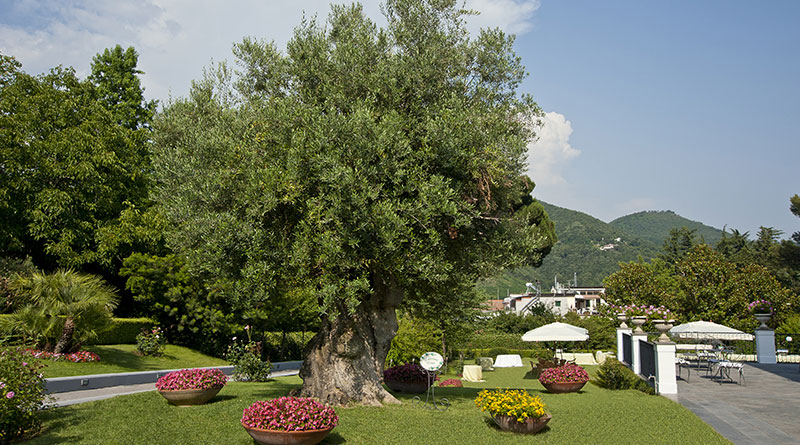 villa-ottocentesca-10