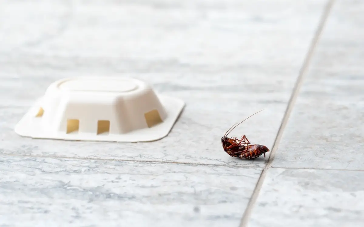 Che cosa significa “deblattizzazione”? Ecco i rischi di questo trattamento