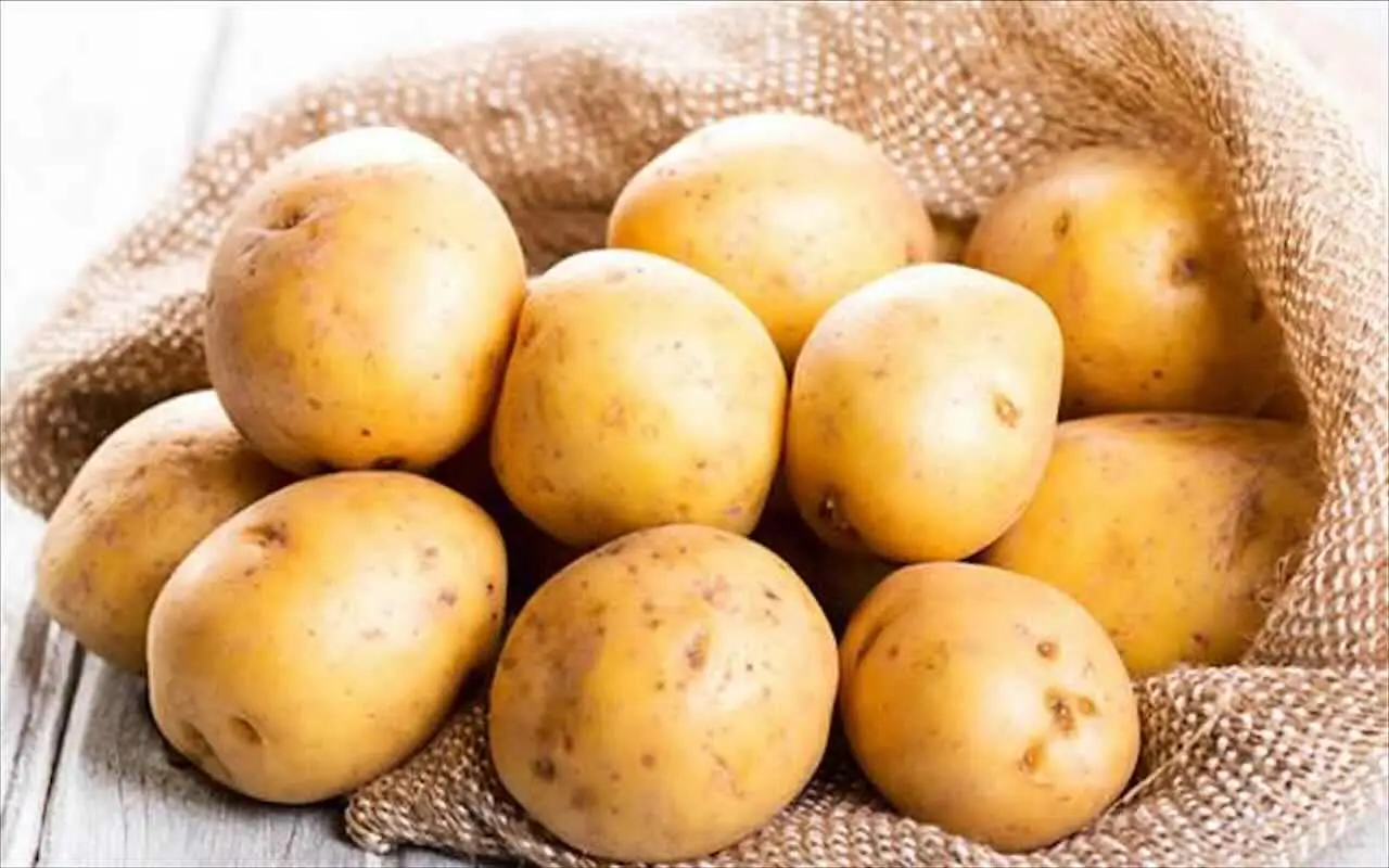 Quanti chili di patate produce davvero un solo chilo di semina? Ecco la risposta