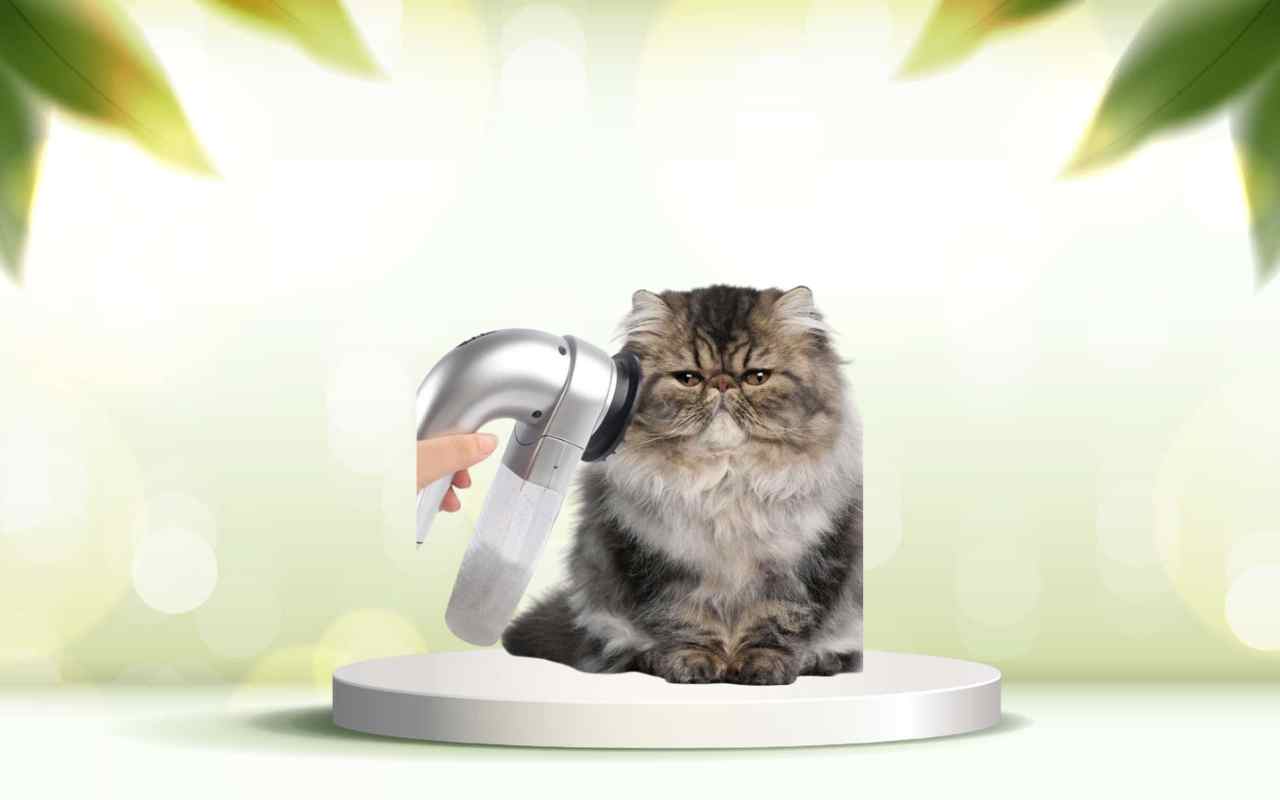 Elimina i peli degli animali in casa: prova subito SpazzolAmica e semplifica la pulizia